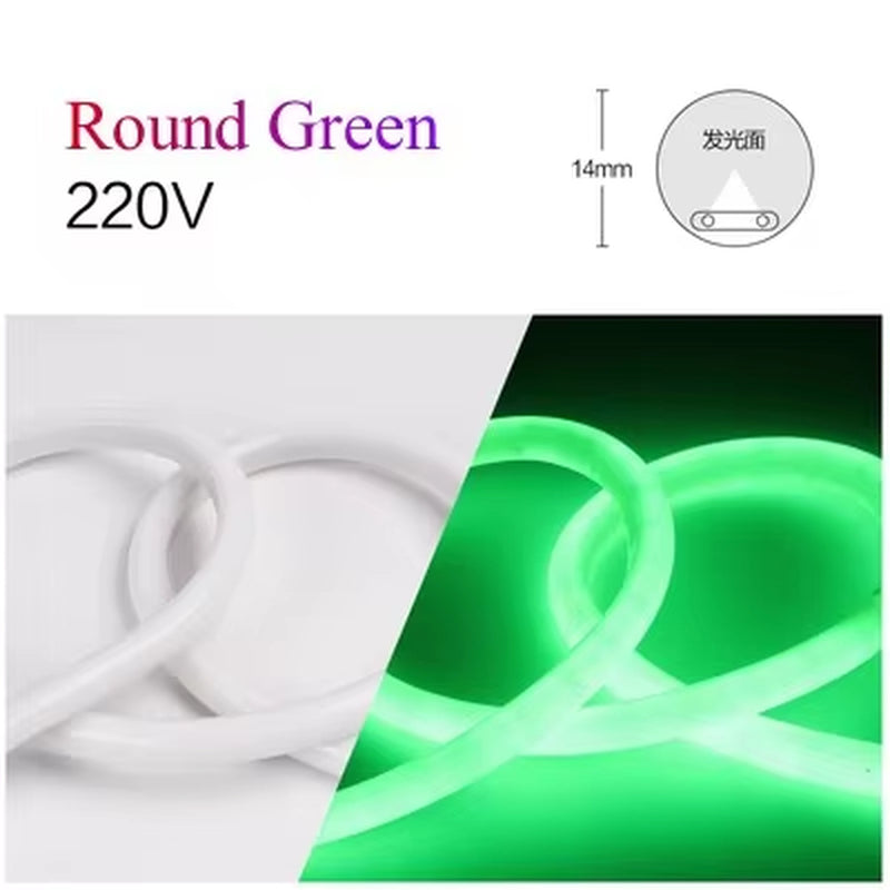 1M Flexible Neon Light Strips 220V LED Lamp 120Leds/M RGB Waterproof Cold-Proof Soft with EU Plug Outdoor Lighting Home Decor