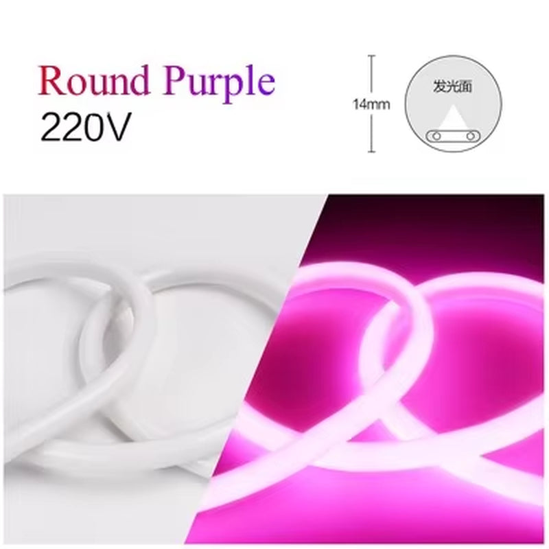 1M Flexible Neon Light Strips 220V LED Lamp 120Leds/M RGB Waterproof Cold-Proof Soft with EU Plug Outdoor Lighting Home Decor