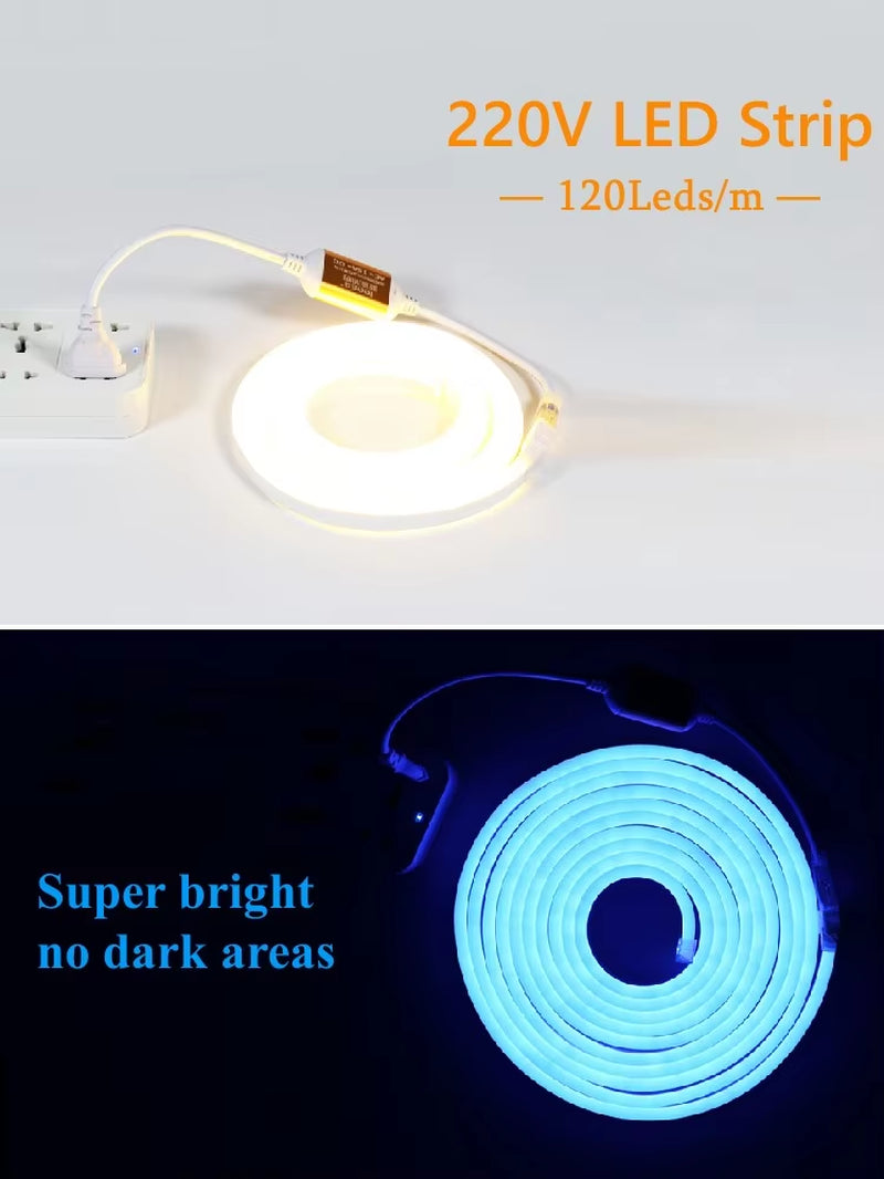 1M Flexible Neon Light Strips 220V LED Lamp 120Leds/M RGB Waterproof Cold-Proof Soft with EU Plug Outdoor Lighting Home Decor